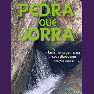 Pedra que jorra : uma mensagem para cada dia do ano